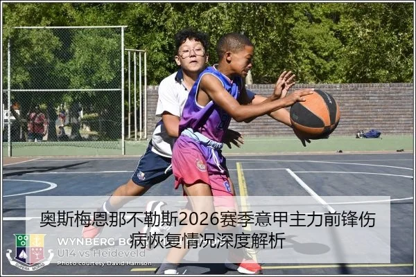 奥斯梅恩那不勒斯2026赛季意甲主力前锋伤病恢复情况深度解析